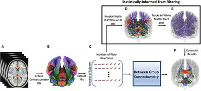 Extracallosal Structural Connectivity Is Positively Associated With Language Performance in Well-Performing Children Born Extremely Preterm